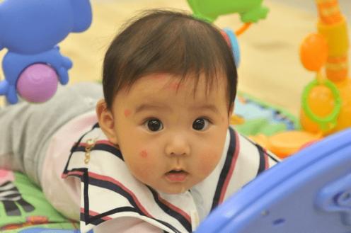 日本正宗蚊香,蚊香日本