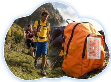 日本正宗蚊香,蚊香日本