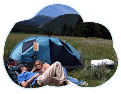 日本正宗蚊香,蚊香日本