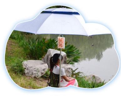 日本正宗蚊香,蚊香日本