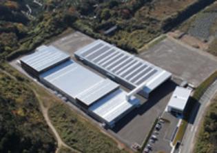 日本正宗蚊香,蚊香日本