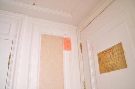 日本正宗蚊香,蚊香日本