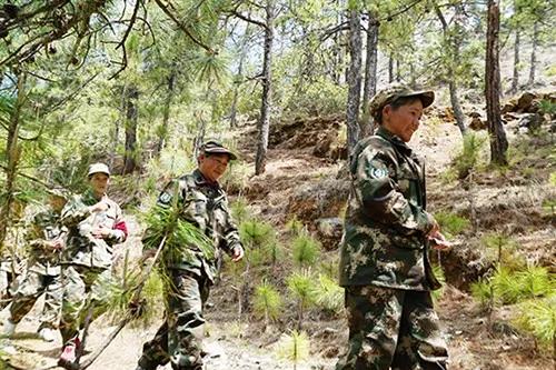 从靠山吃山到以山养山,由靠山吃山转变护山养山理念