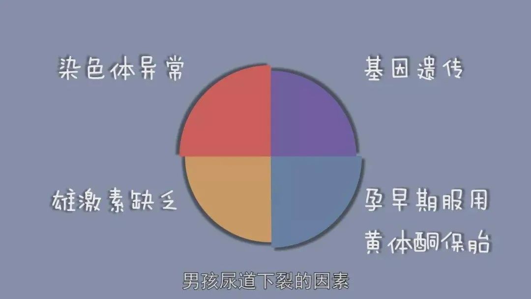 泌尿健康科普知识宣教,泌尿医学知识科普视频