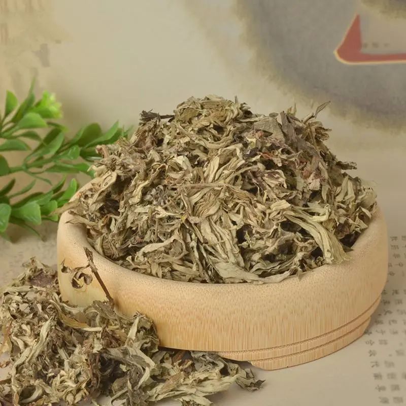 中医知识讲解艾草,艾草中医养生