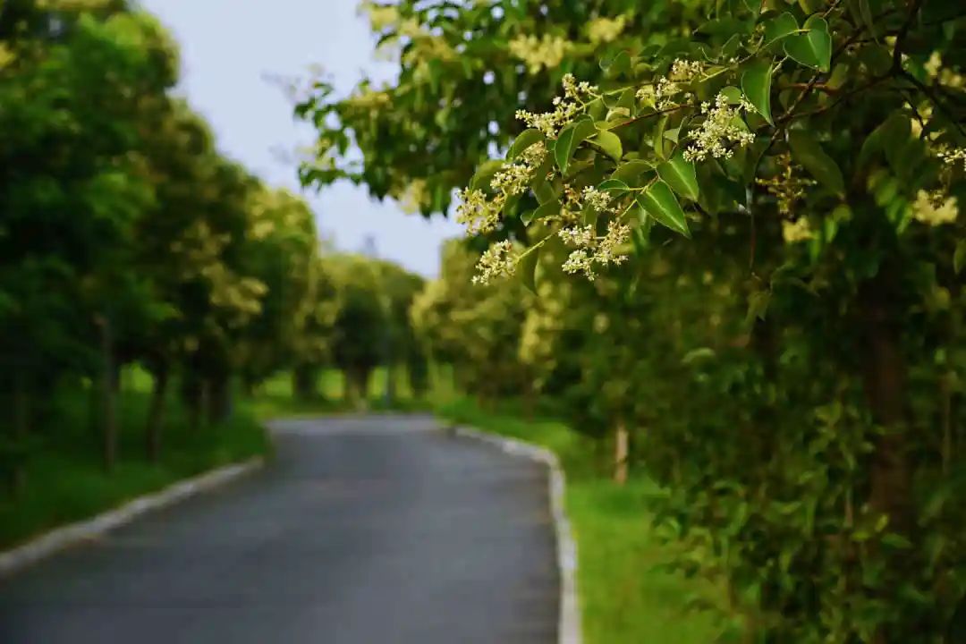 陕西石川河风景,大美石川河