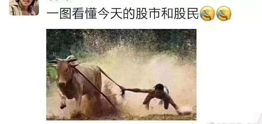 这届股民太难了视频,股民真的有才