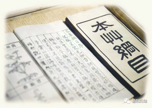 济南针灸治疗鼻炎,日照中医针灸治鼻炎