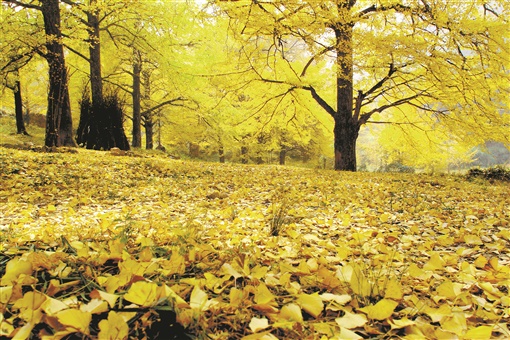 豪气干云的正面事例,豪气干云讲解什么