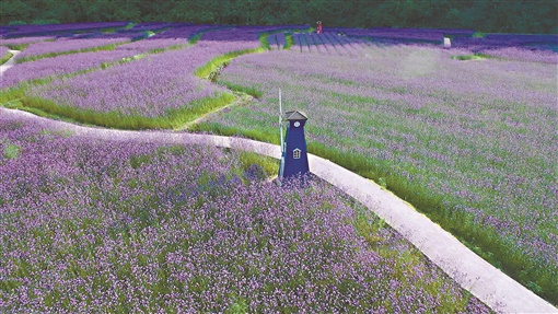 豪气干云的正面事例,豪气干云讲解什么