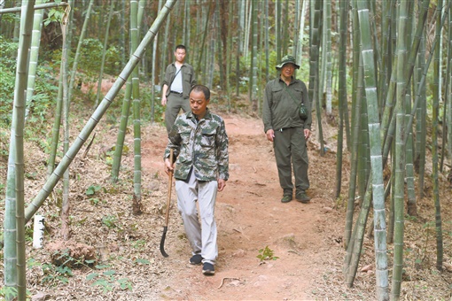 豪气干云的正面事例,豪气干云讲解什么