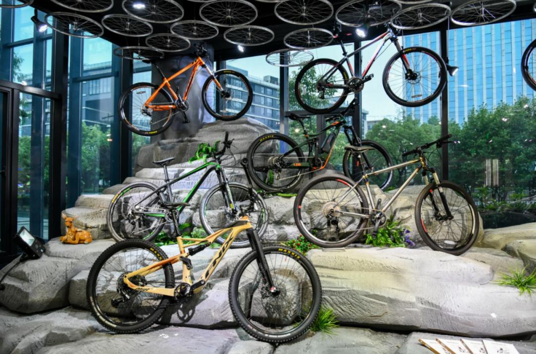 在曾经的年代凤凰牌自行车,凤凰牌自行车当年很好吗