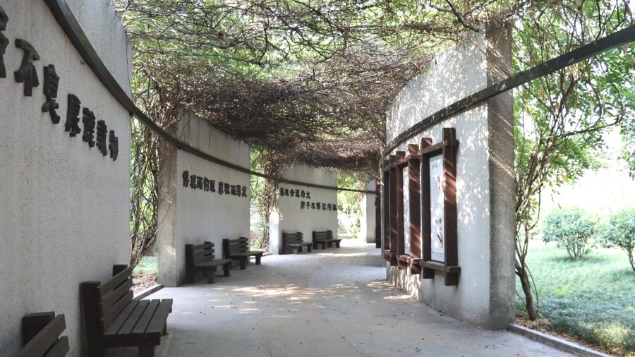 2020年衢州中考录取分数线公布,衢州市高中招生简章