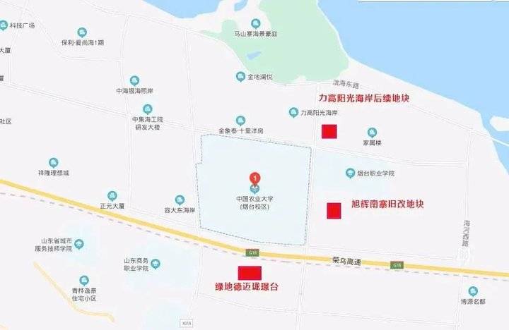 高新区第一梯队公办学校,高新区重点打造的学校