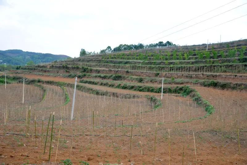 扶贫故事第三季,扶贫故事感动视频