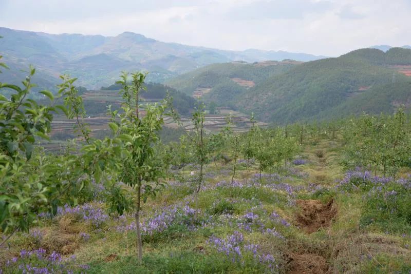 扶贫故事第三季,扶贫故事感动视频