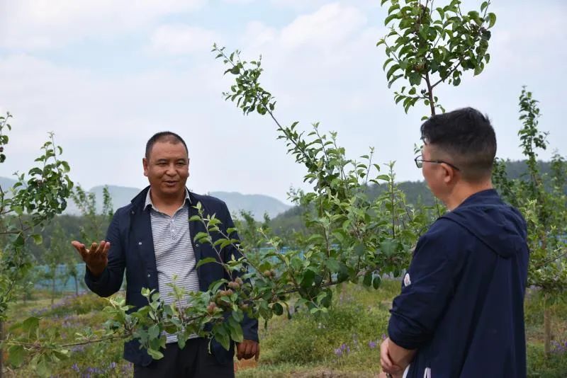 扶贫故事第三季,扶贫故事感动视频