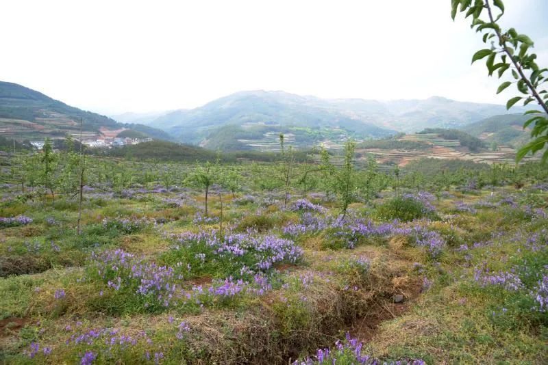 扶贫故事第三季,扶贫故事感动视频