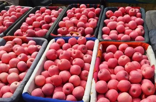 扶贫故事第三季,扶贫故事感动视频