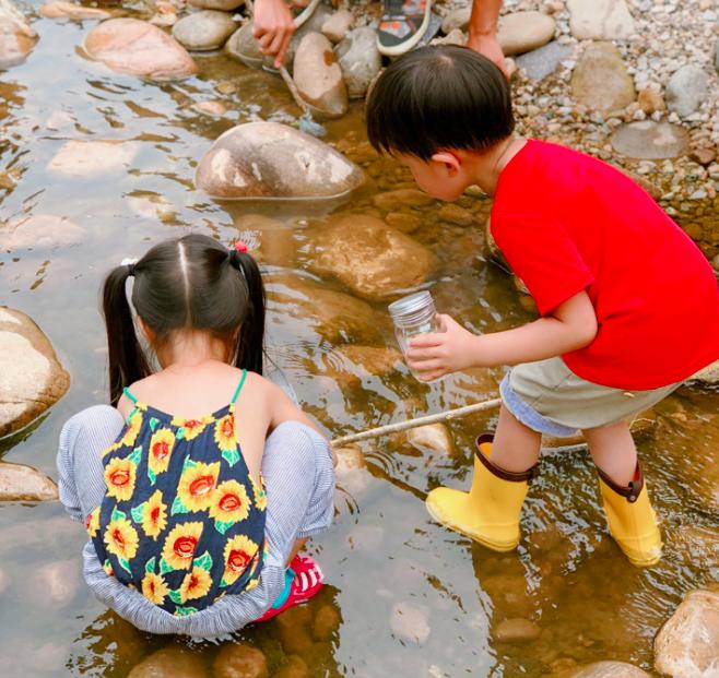 四步玩转亲子农场,周边好玩的亲子农场适合遛娃