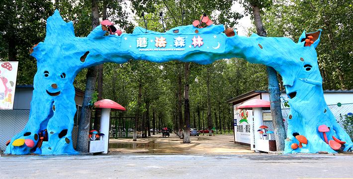 四步玩转亲子农场,周边好玩的亲子农场适合遛娃