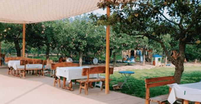 四步玩转亲子农场,周边好玩的亲子农场适合遛娃