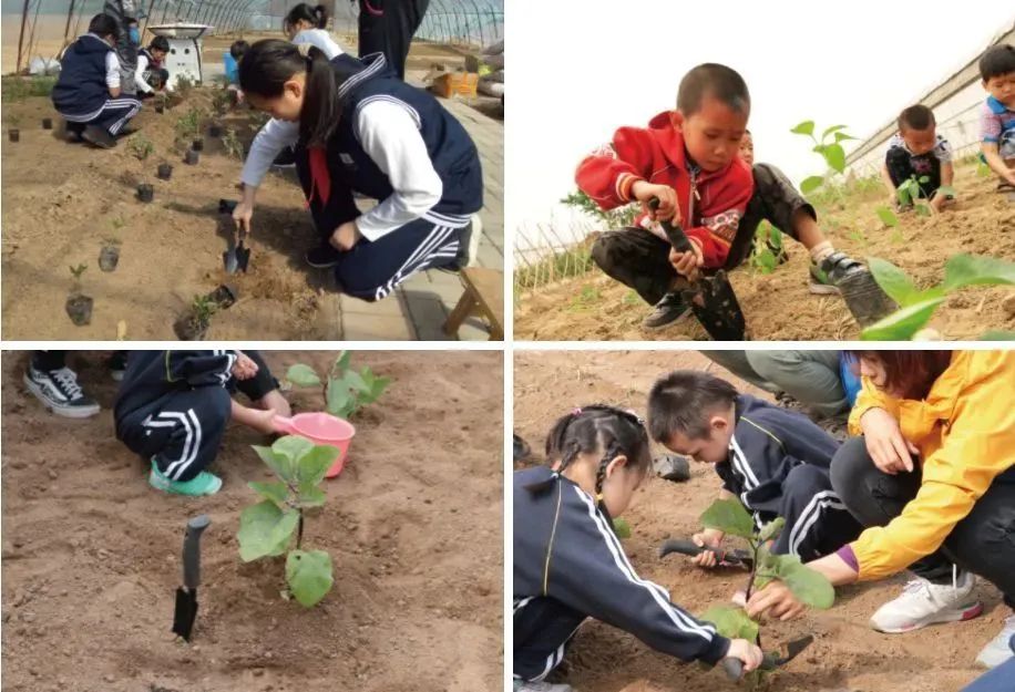 四步玩转亲子农场,周边好玩的亲子农场适合遛娃