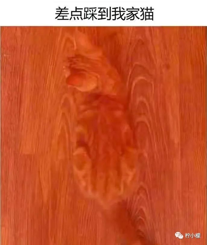 和朋友在ktv玩真心话,和朋友在ktv里玩真心话大冒险