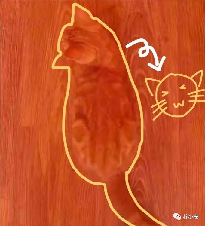 和朋友在ktv玩真心话,和朋友在ktv里玩真心话大冒险