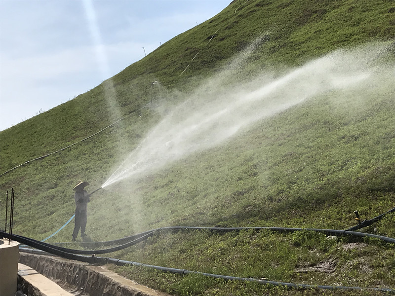 绿满坡喜看矿山展新颜