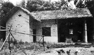 长篇小说郑长春,郑长春长篇小说全文