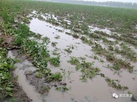 长篇小说郑长春,郑长春长篇小说全文