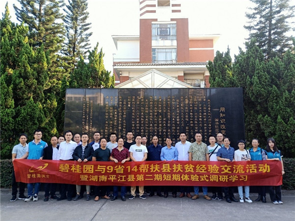 碧桂园区域党支部活动,碧桂园甘肃区域党支部