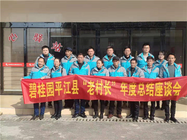 碧桂园区域党支部活动,碧桂园甘肃区域党支部