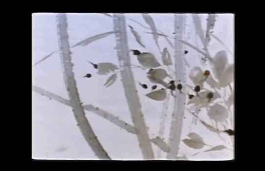 妥妥的知识宝藏！这位妈妈深扒B站，今年暑假学习资源不用愁了