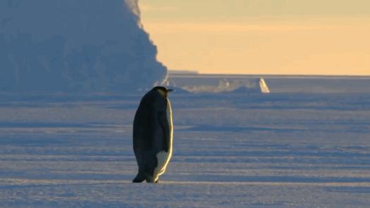 妥妥的知识宝藏！这位妈妈深扒B站，今年暑假学习资源不用愁了