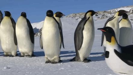 妥妥的知识宝藏！这位妈妈深扒B站，今年暑假学习资源不用愁了