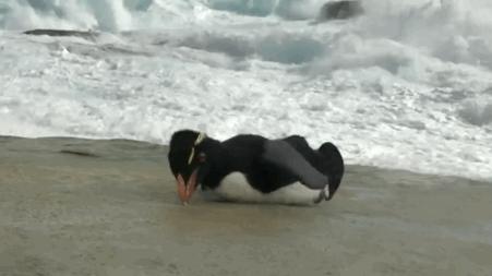 妥妥的知识宝藏！这位妈妈深扒B站，今年暑假学习资源不用愁了