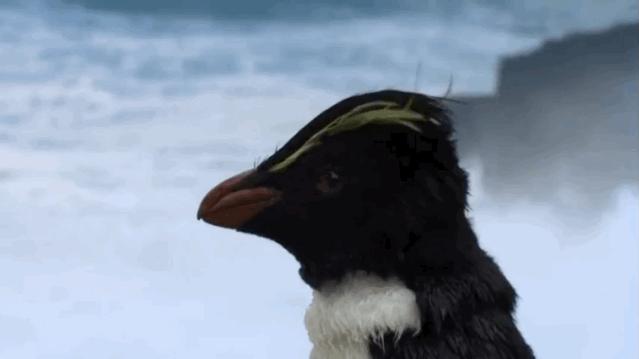 妥妥的知识宝藏！这位妈妈深扒B站，今年暑假学习资源不用愁了