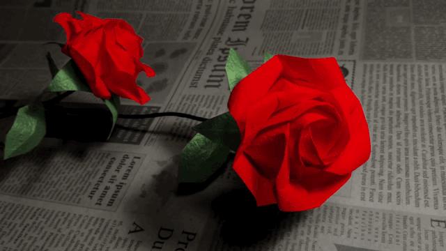 妥妥的知识宝藏！这位妈妈深扒B站，今年暑假学习资源不用愁了