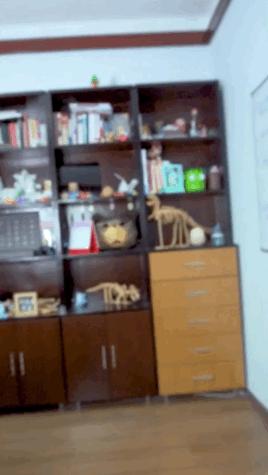 妥妥的知识宝藏！这位妈妈深扒B站，今年暑假学习资源不用愁了