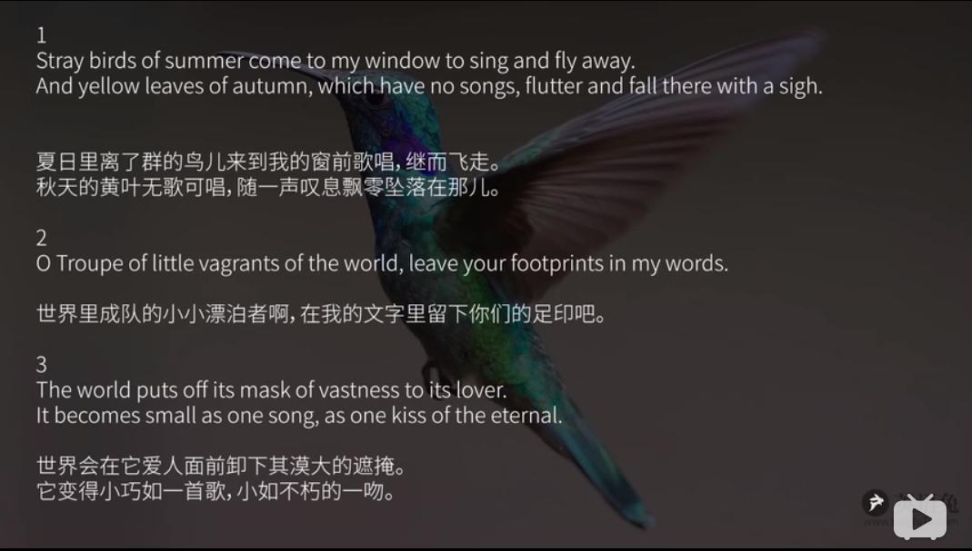 妥妥的知识宝藏！这位妈妈深扒B站，今年暑假学习资源不用愁了