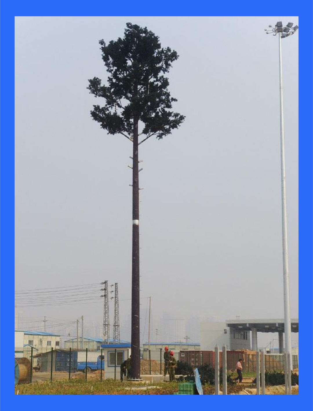 5G都来了，怎么还有人在网上买防辐射*裤内**