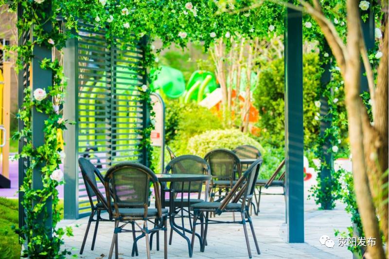 碧桂园龙城天悦物业,碧桂园龙城天悦二期