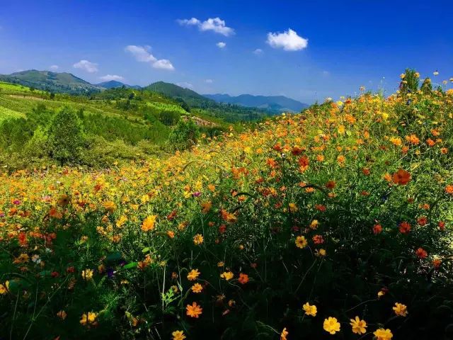 抓住假期尾巴附近景点打卡,抓住周末的小尾巴打卡网红地