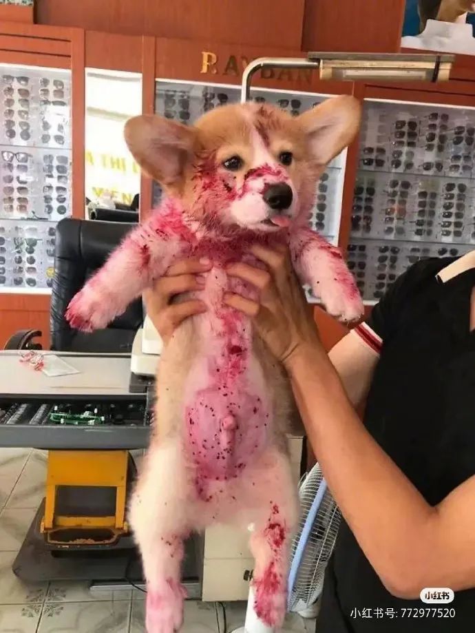 人喝醉之后到底有多搞笑,盘点喝醉的人有多搞笑