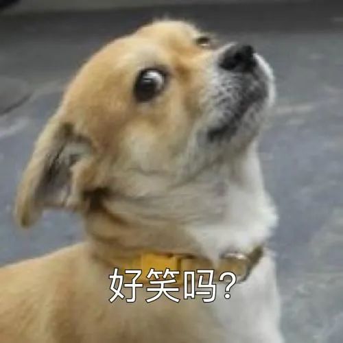 人喝醉之后到底有多搞笑,盘点喝醉的人有多搞笑