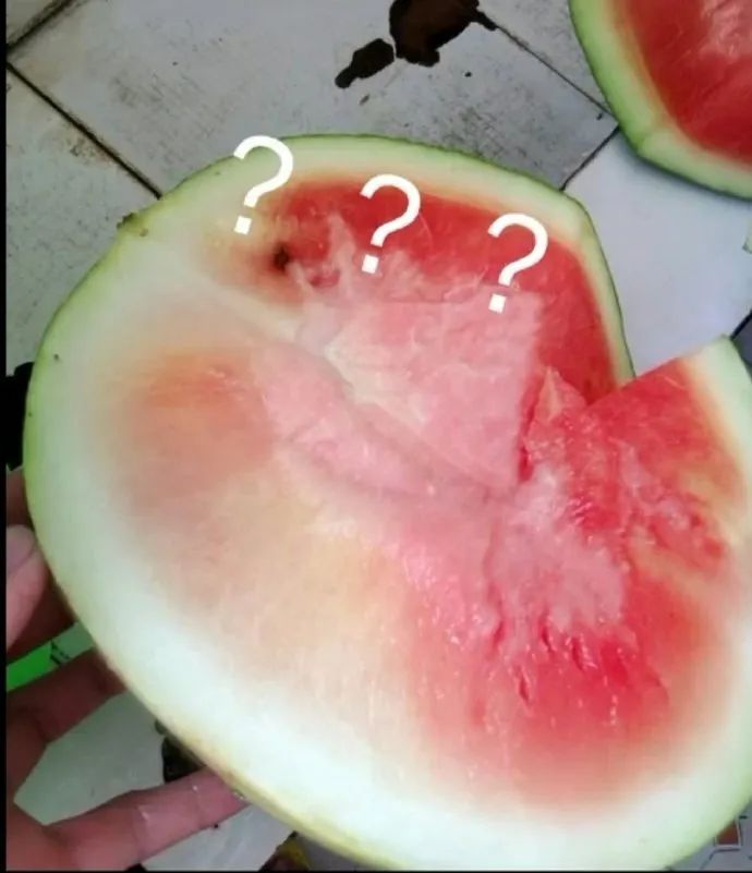 人喝醉之后到底有多搞笑,盘点喝醉的人有多搞笑