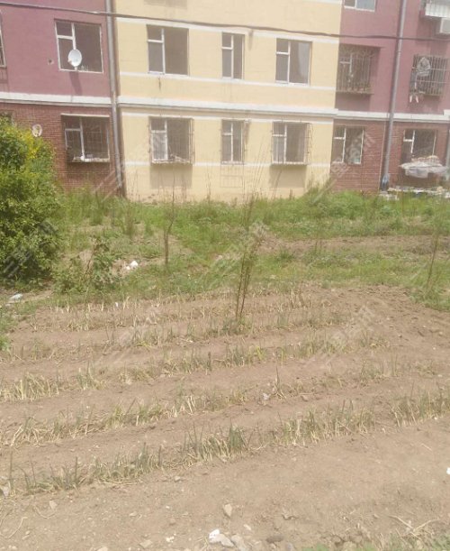 「帮办第81期」辽源银河花园小片荒“死灰复燃”了？社区：头疼