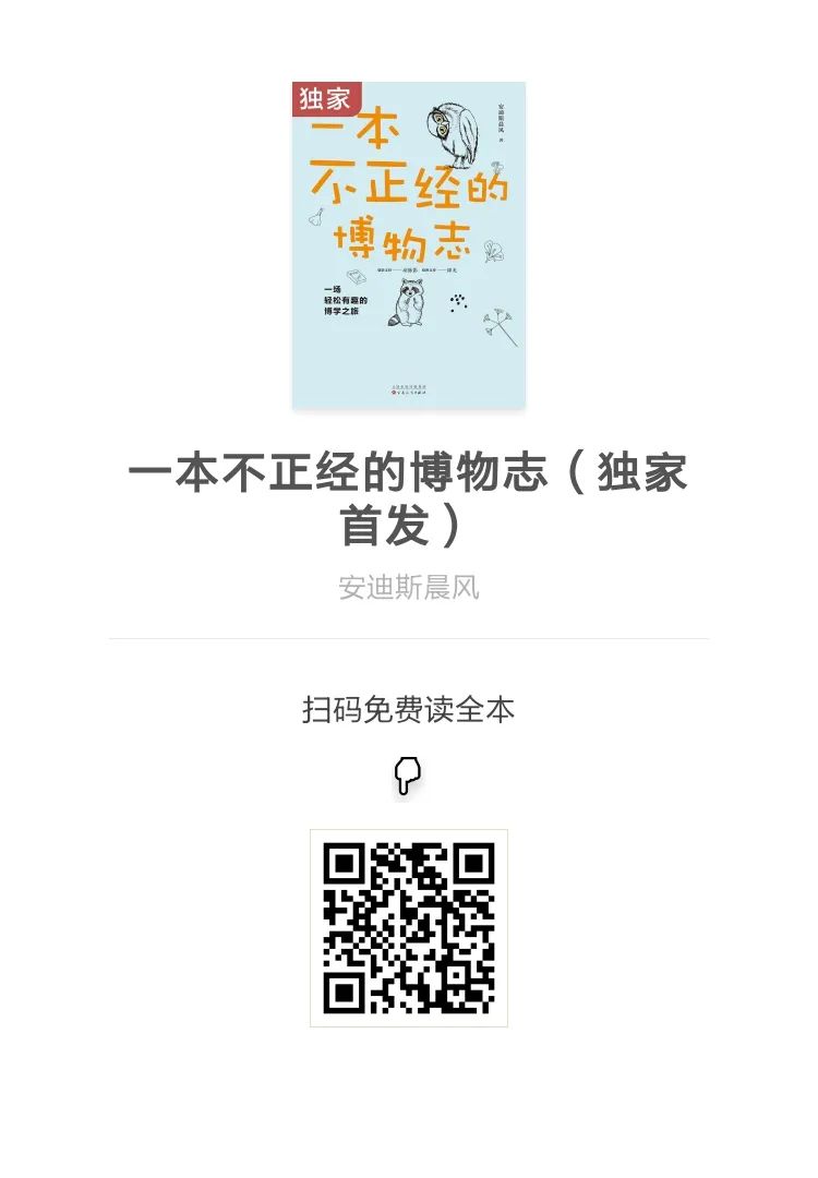 萌死人不偿命的猫主子，十二生肖为什么没有它？